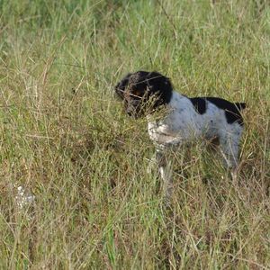 Meet your Posher, Joel